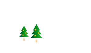 The Town Store
